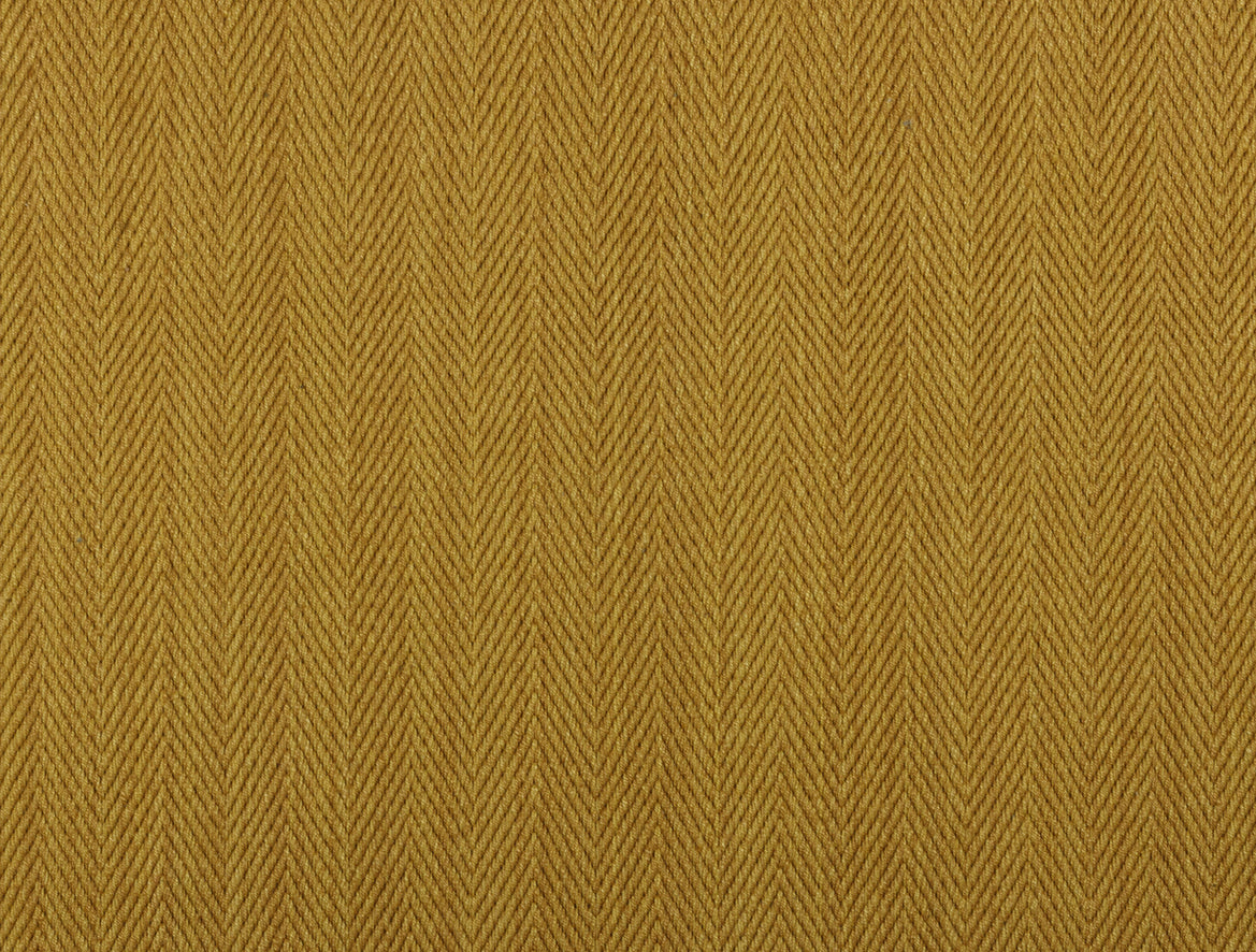 Hilsa - Marigold