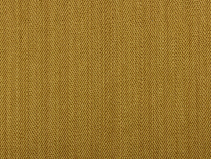 Hilsa - Marigold