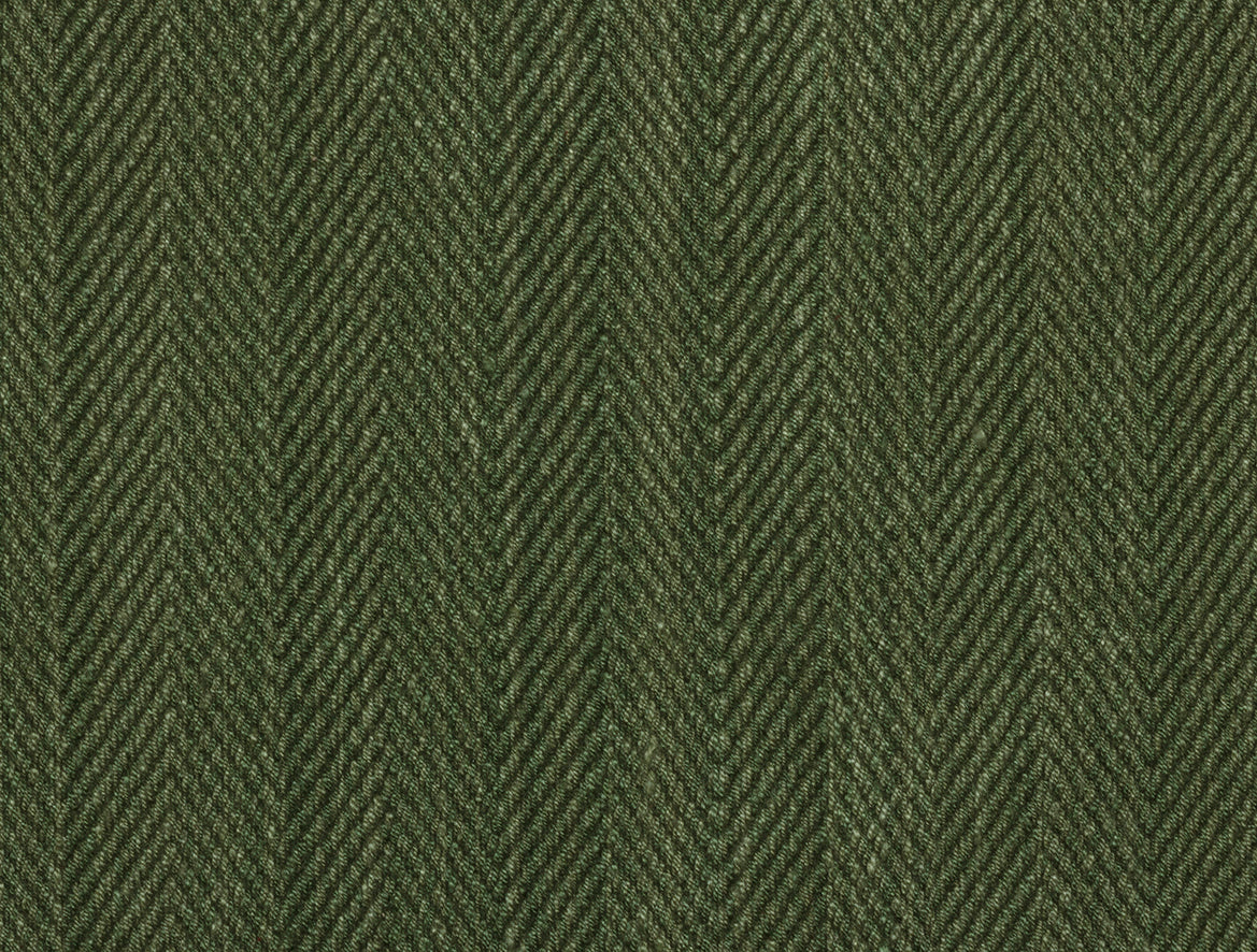 Hilsa - Pine