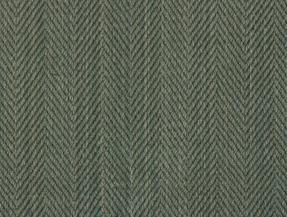 Hilsa - Willow