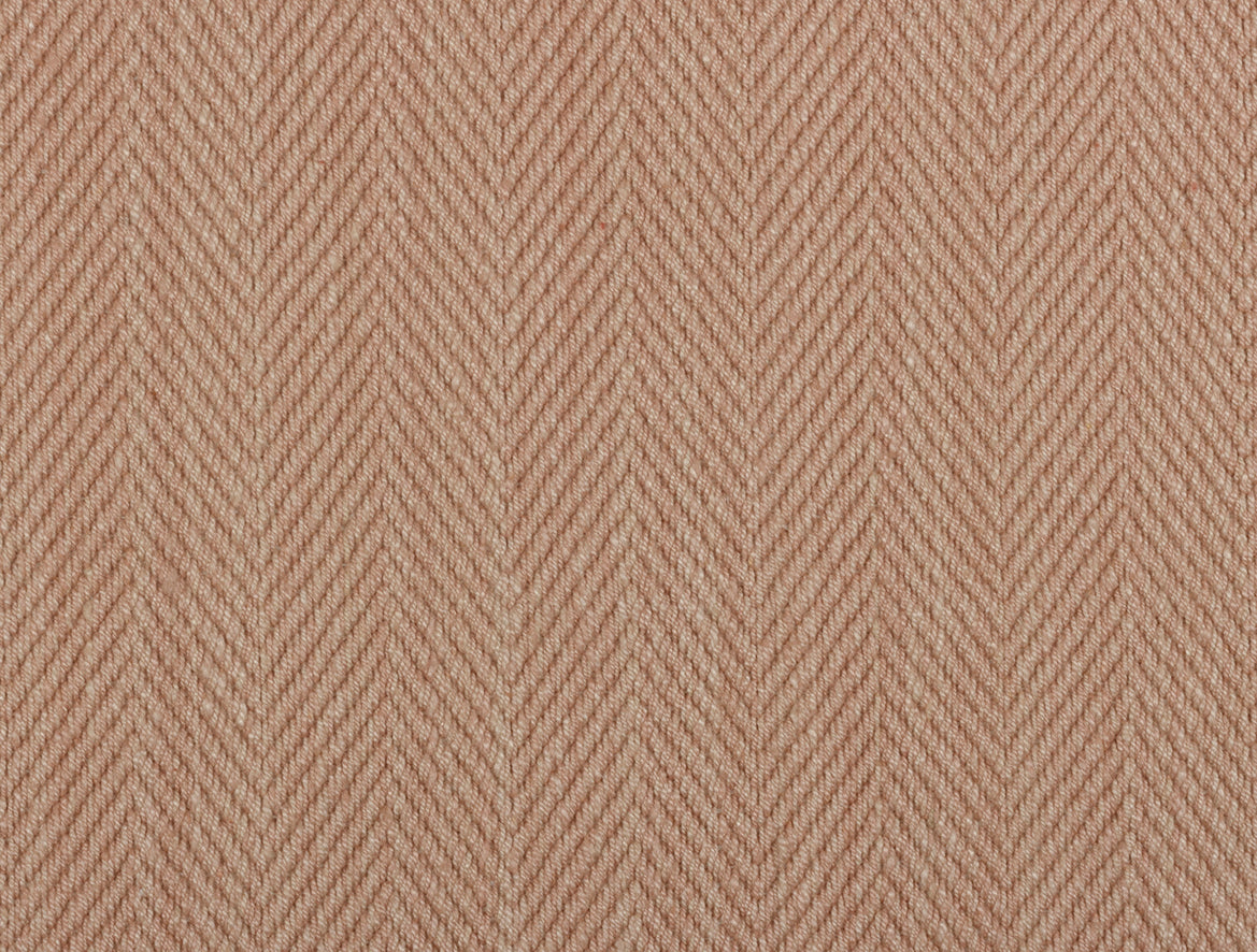 Hilsa - Frangipani