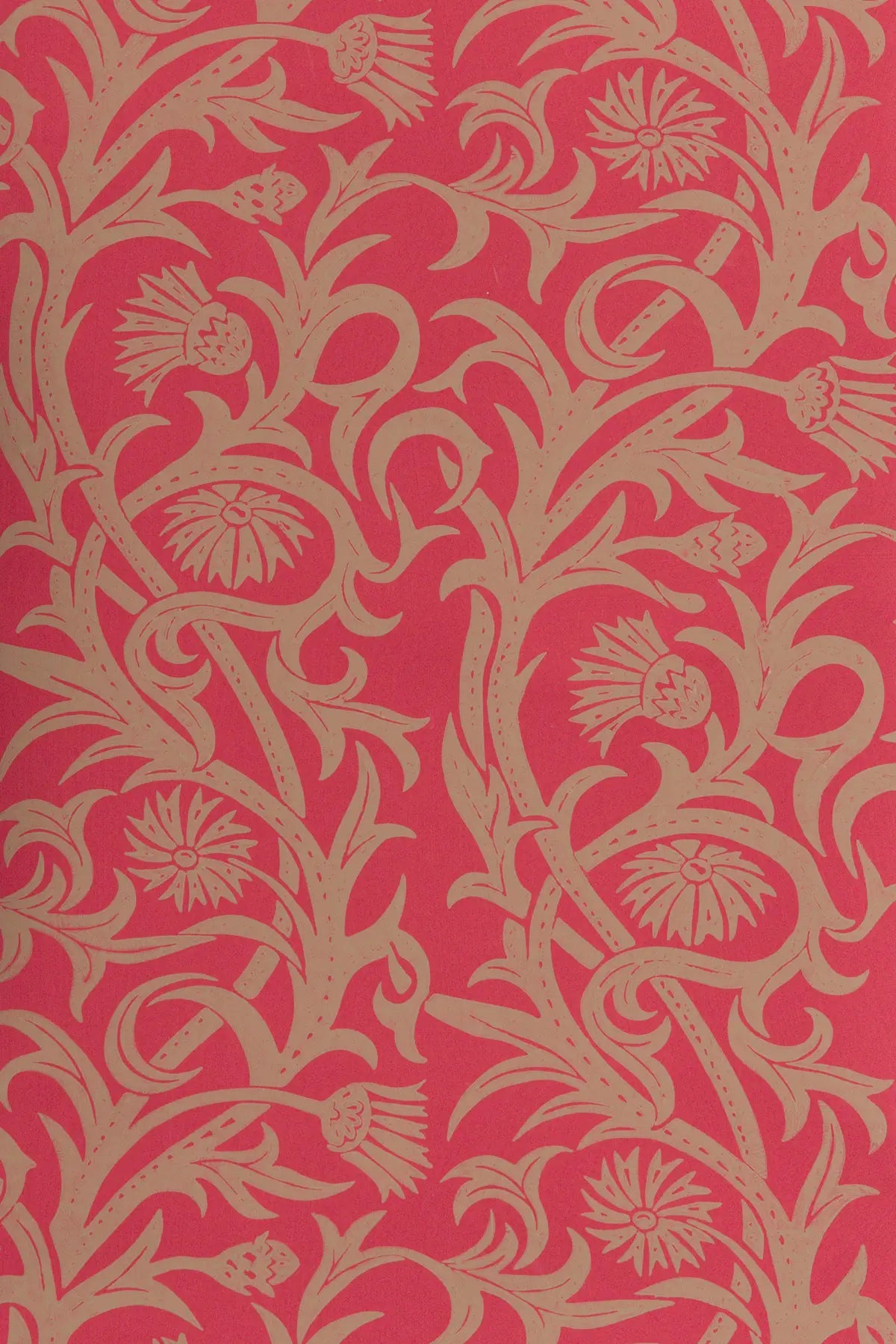 Cardoon - Plaster on Alizarin Red