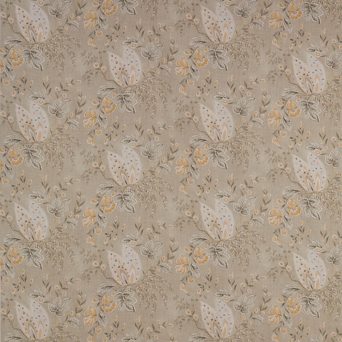 Hatley - Lichen