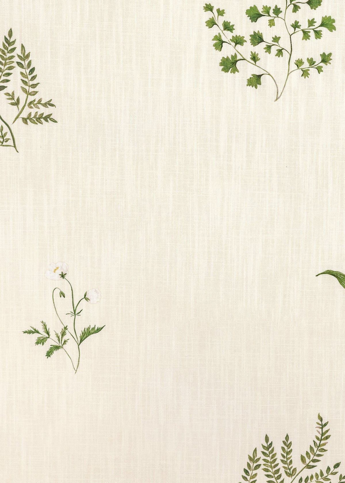 Herbarium Forest - Ivory