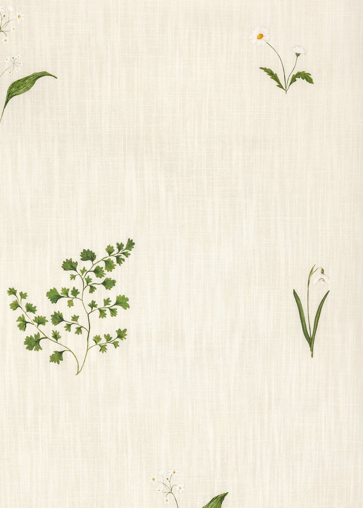 Herbarium Forest - Ivory