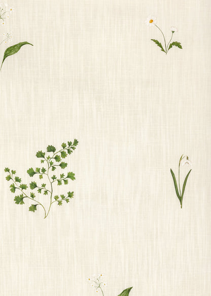 Herbarium Forest - Ivory