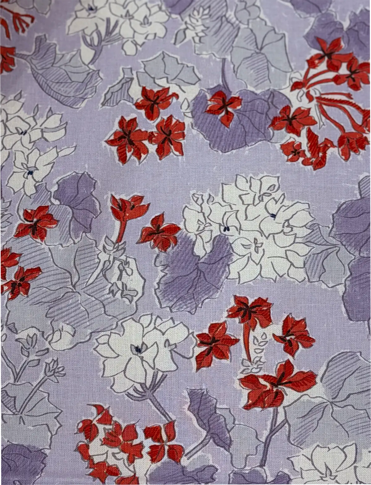 Pelargonium - Lavender/Coral