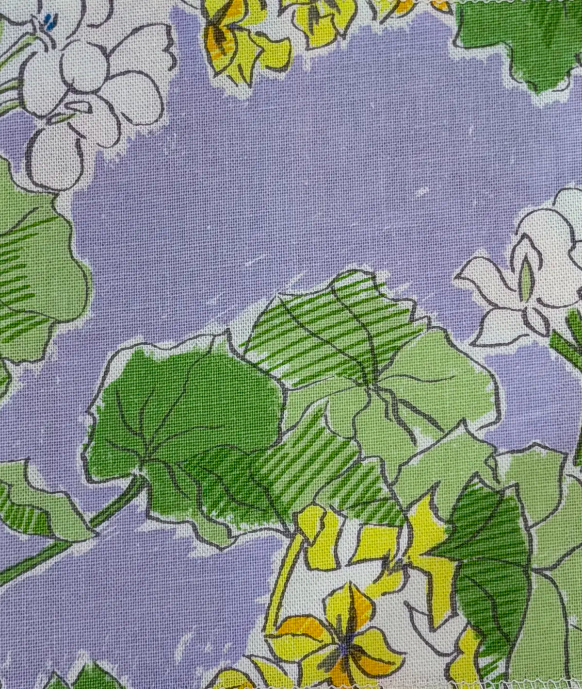 Pelargonium - Spring Green