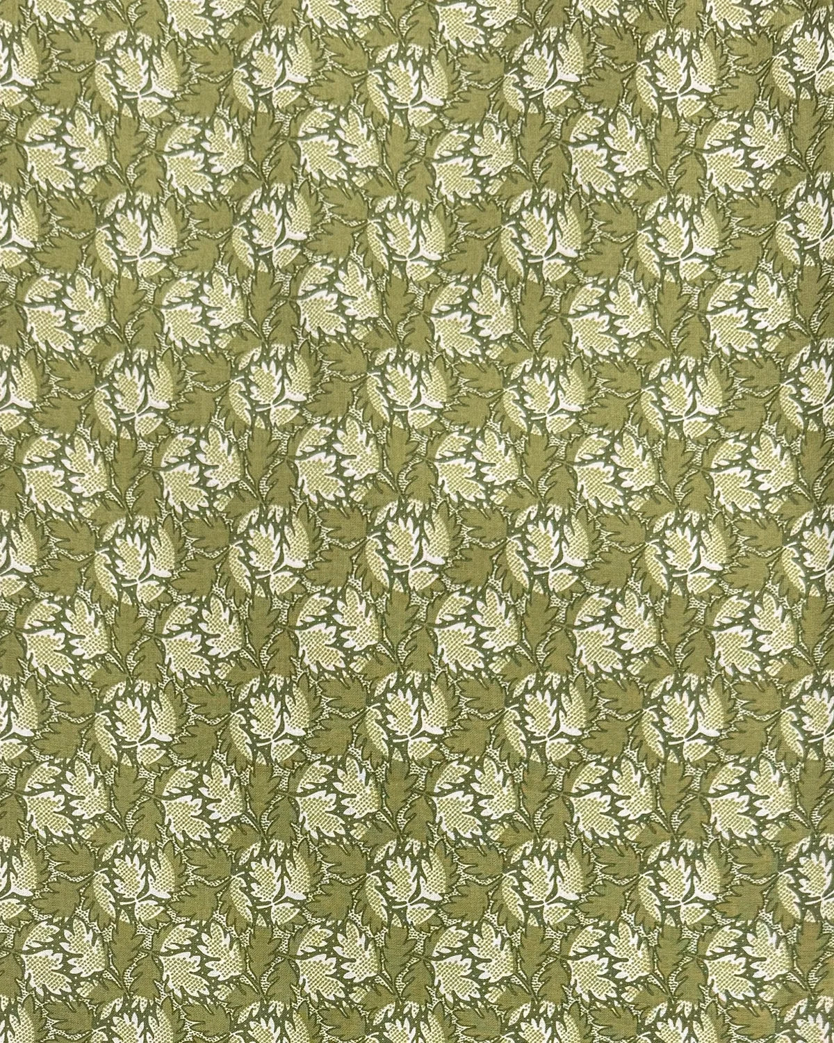 Feuilles - Chartreuse