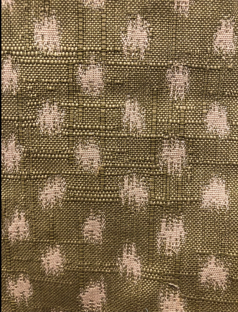 Spot - Kiwi