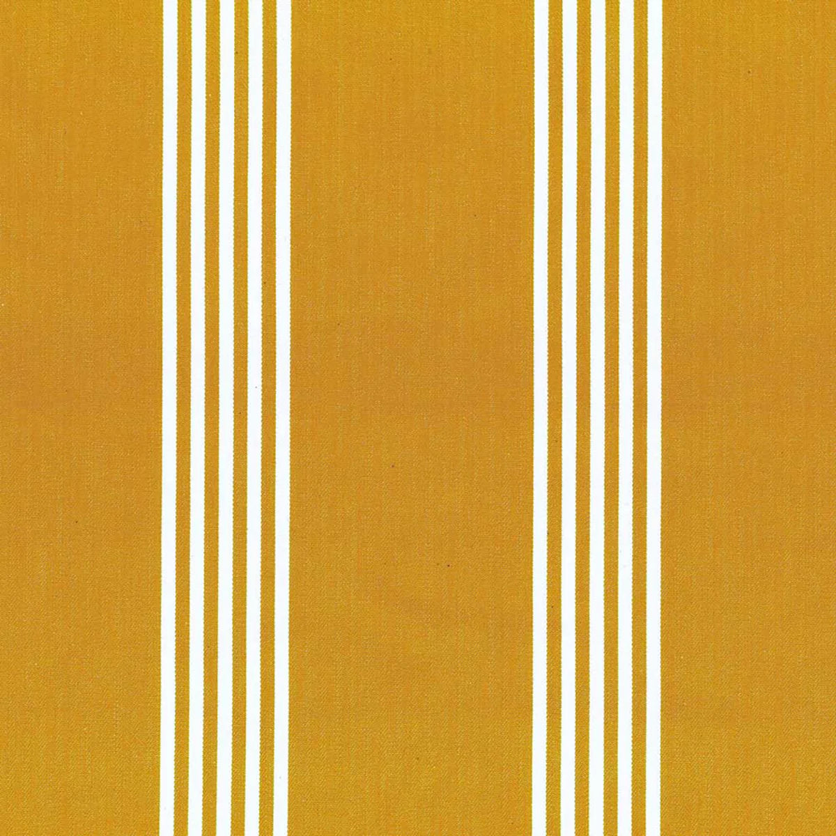 Canvas Stripe - Ochre