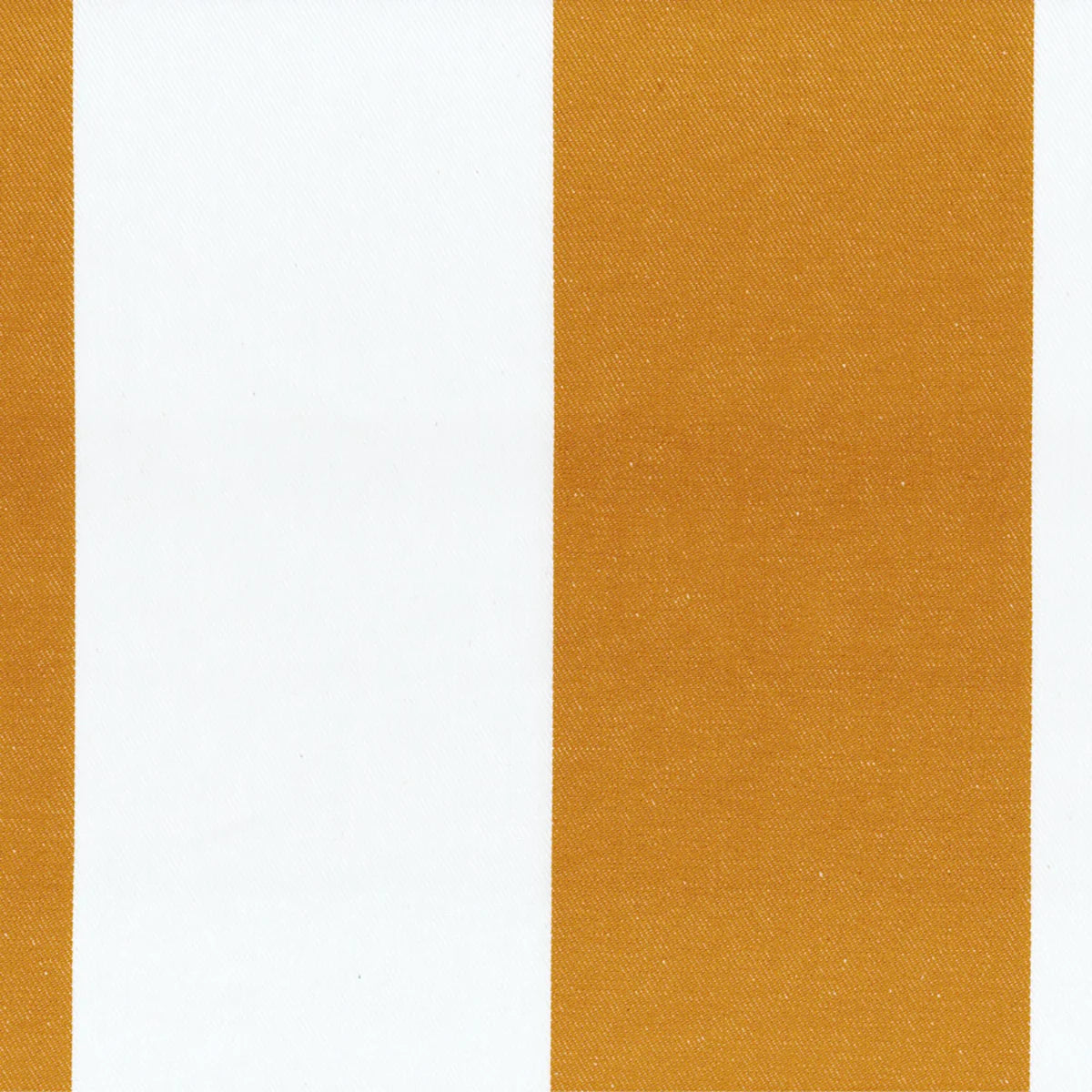 Studio Stripe - Ochre