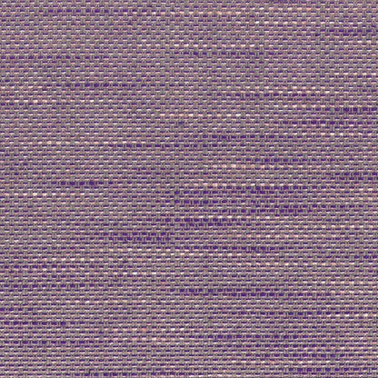 Perth - Violet