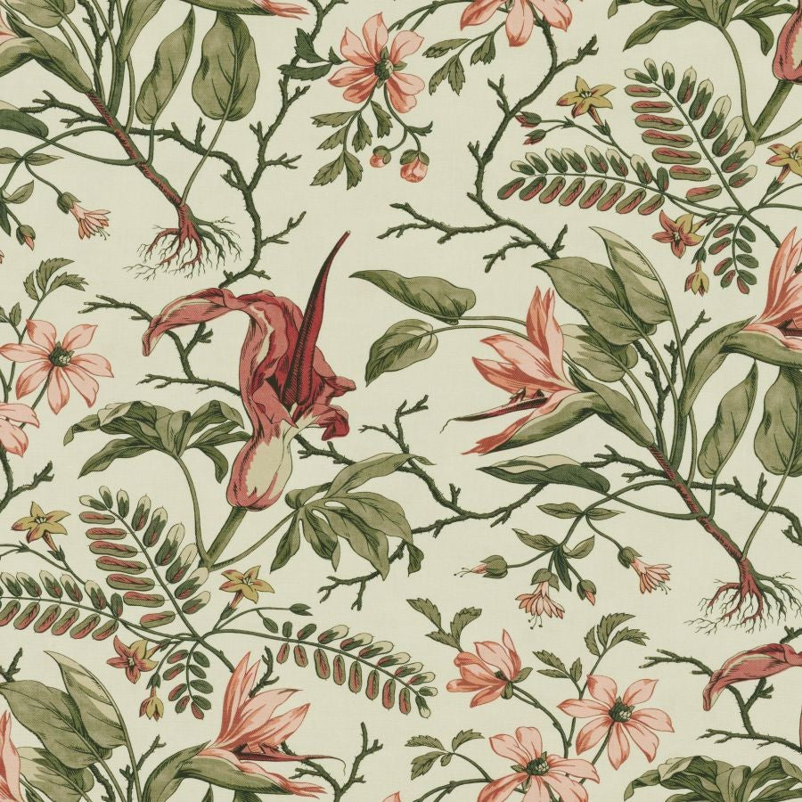 Paradisio - Pink Green