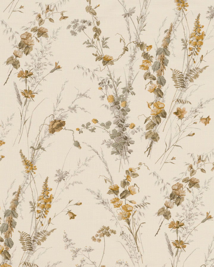 Botanical Garden - Olive