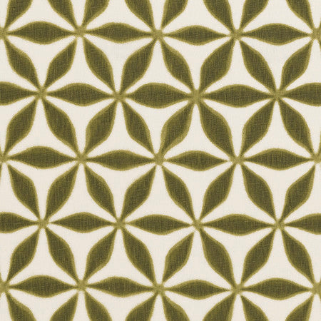 Star Atlantico - Grass
