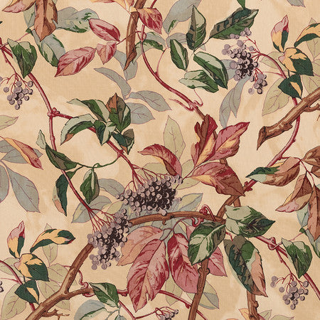 Scarlet Vine - Original