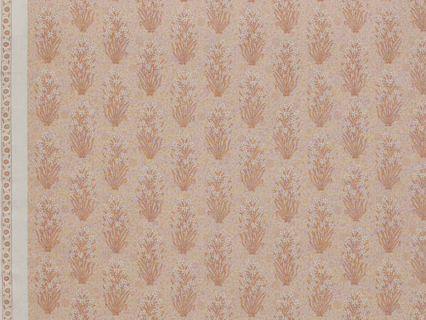 Juhi - Frangipani