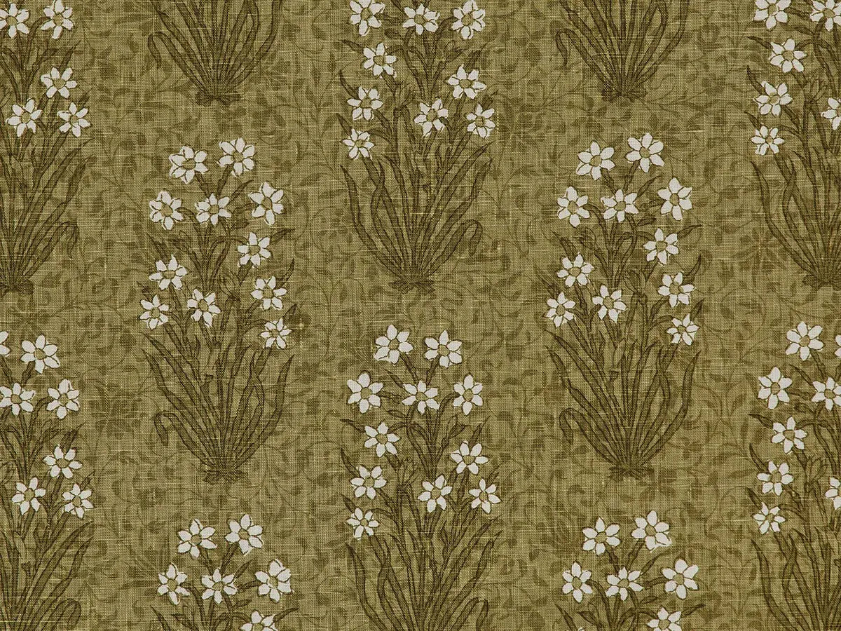 Juhi - Fern