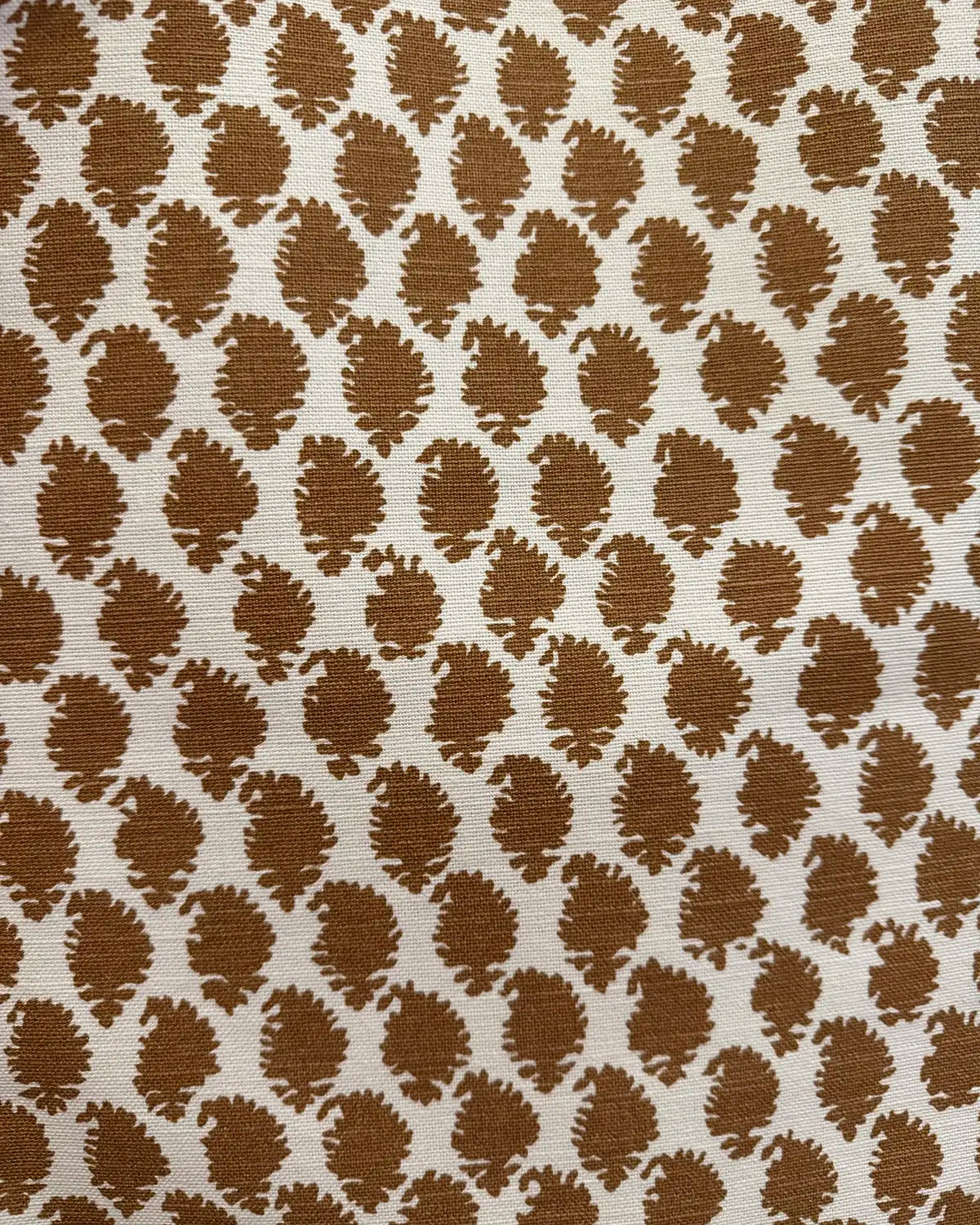 Jaisilmir Reverse - Praline
