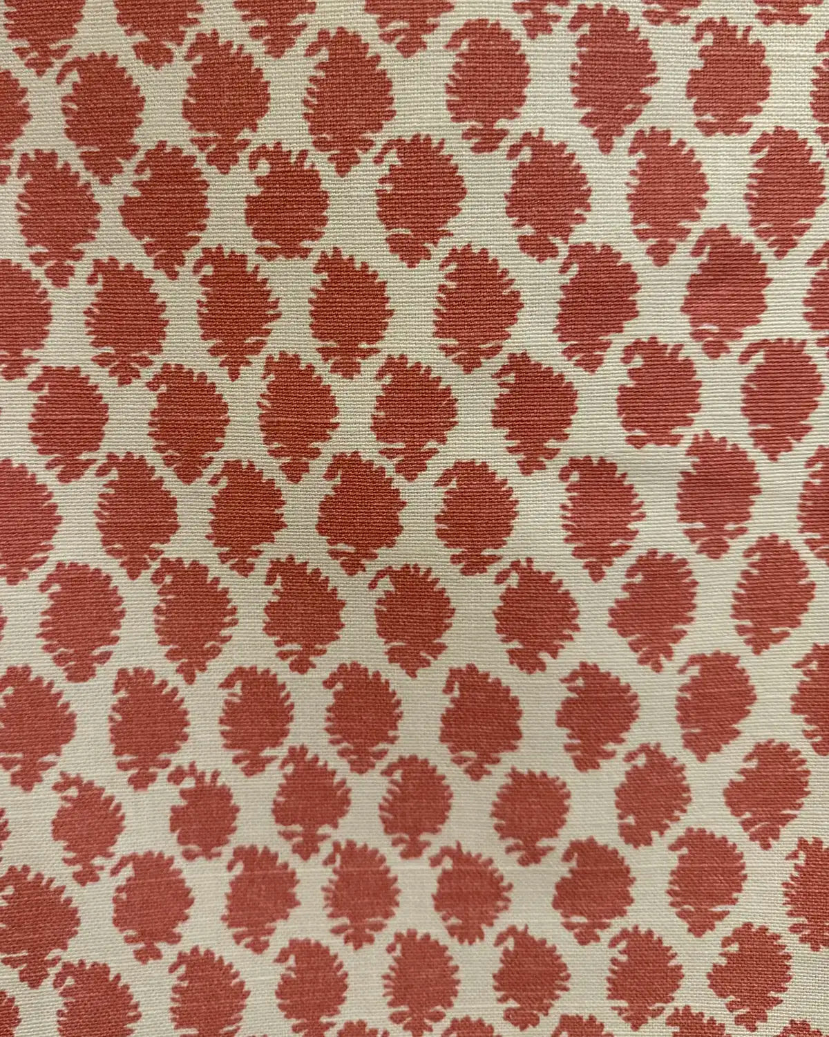 Jaisilmir Reverse - Rose