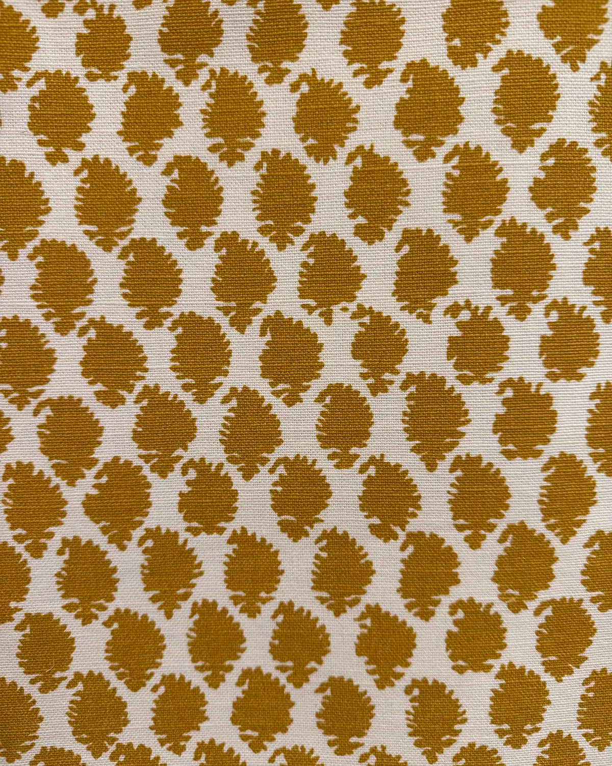 Jaisilmir Reverse - Turmeric