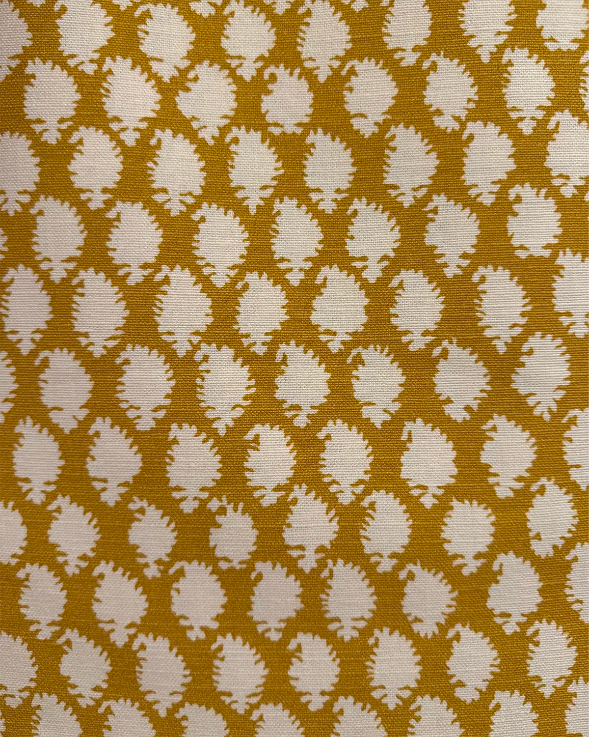 Jaisilmir - Turmeric