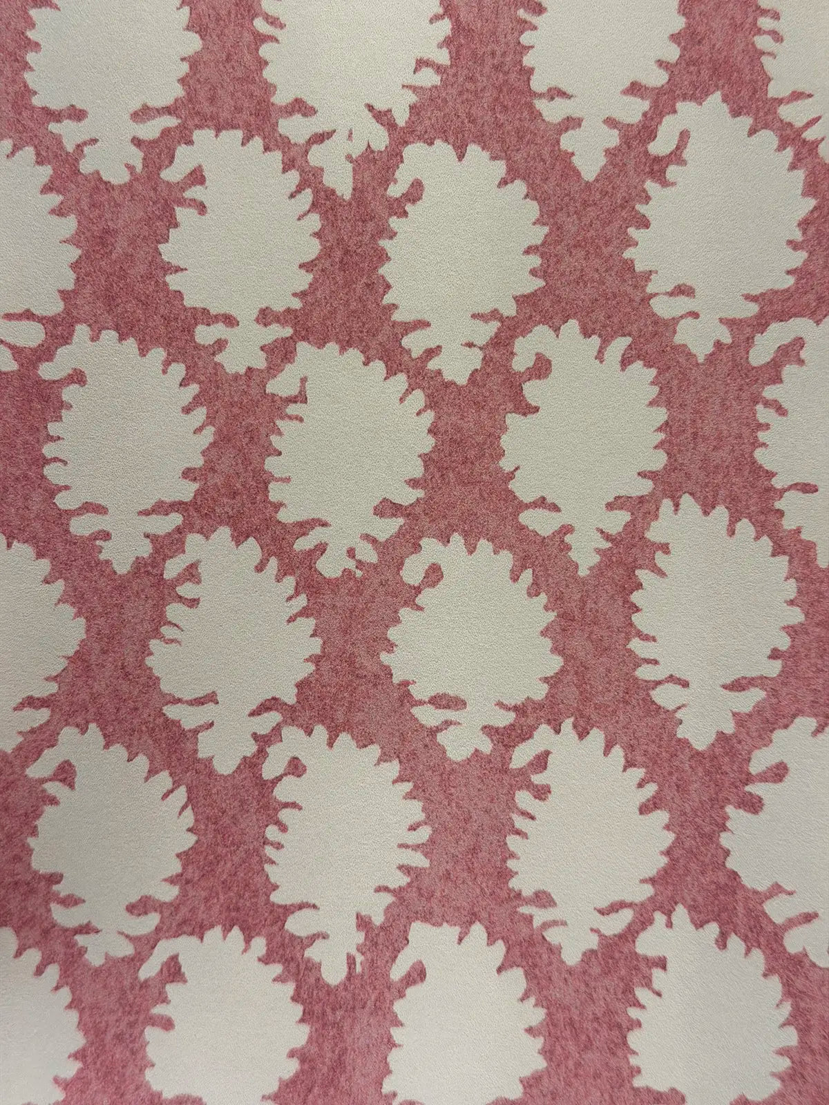 Jaisilmir Wallpaper - Guava