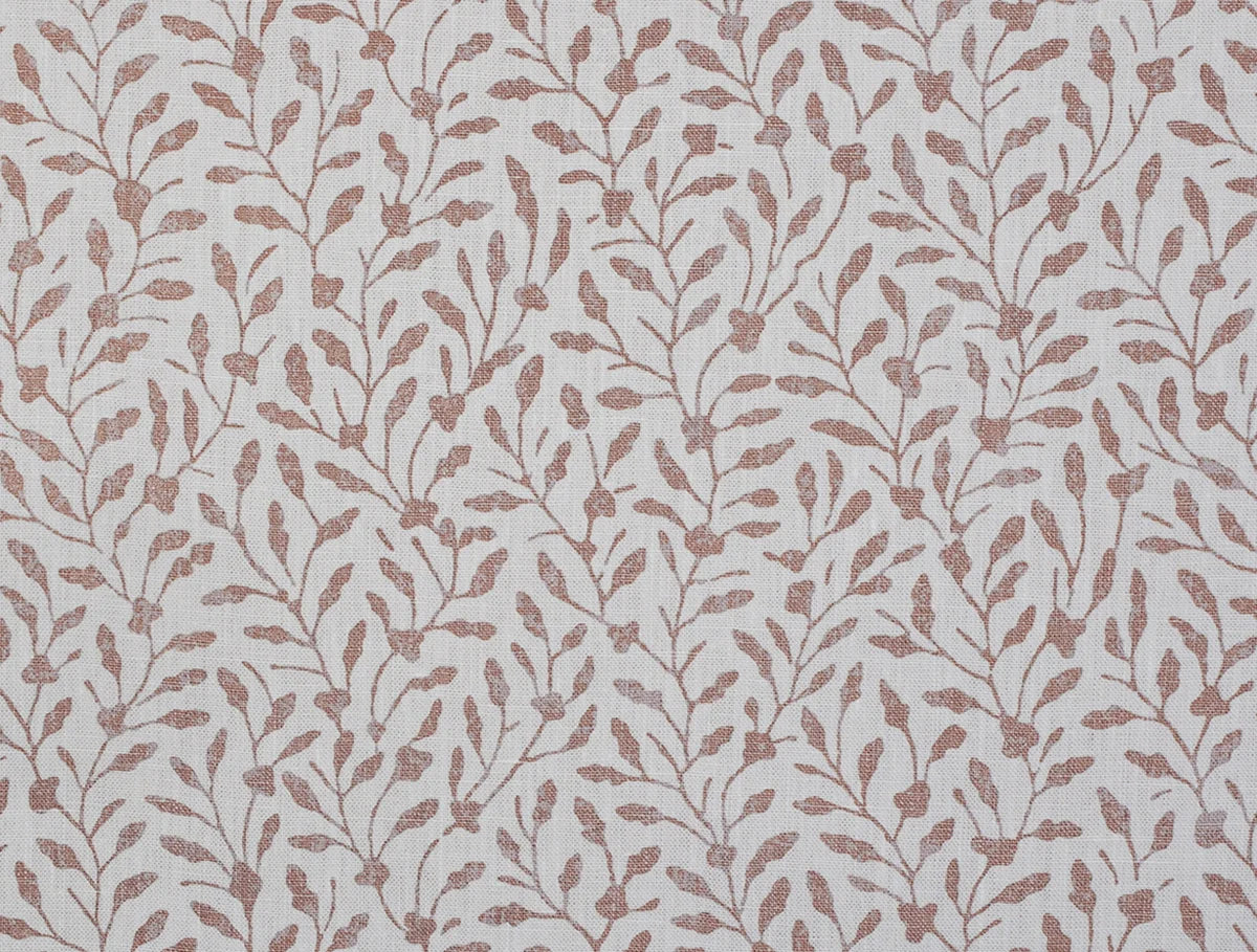 Kadva - Frangipani