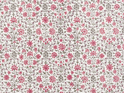 Kushi - Raspberry