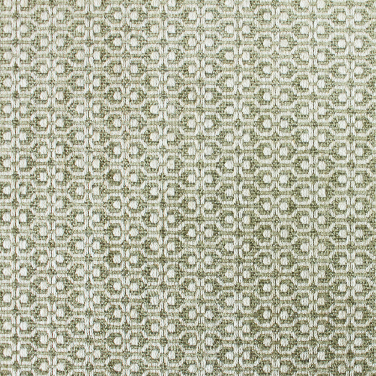 Kipling - Tarragon
