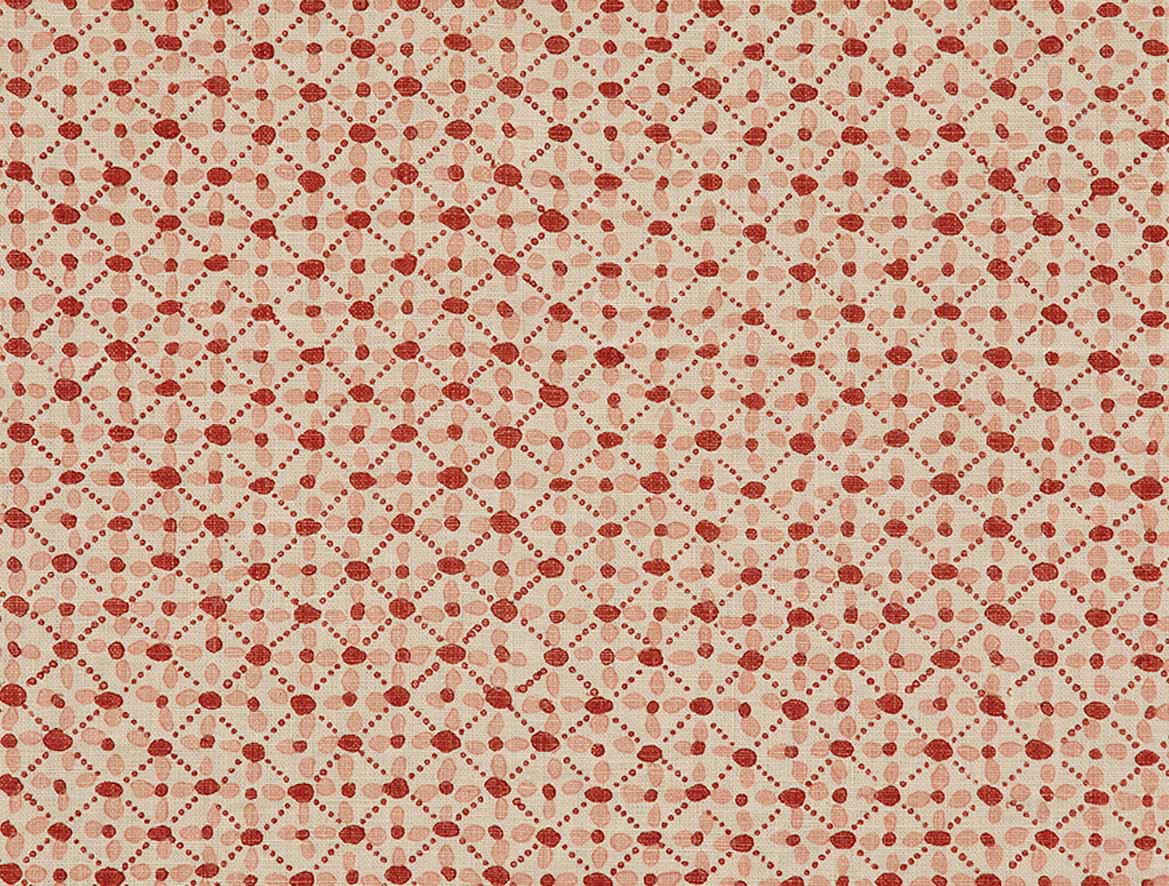 Kosma - Pink