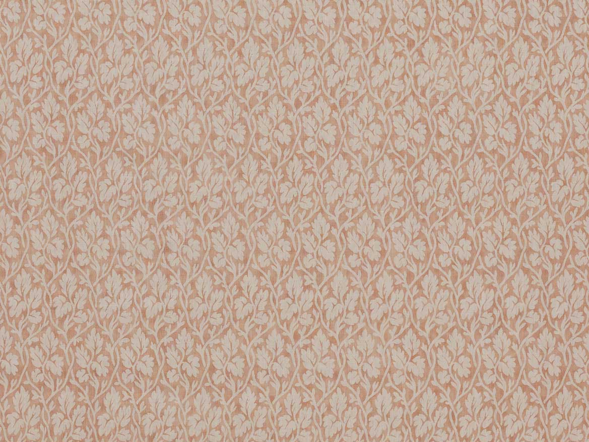 La Vigne - Frangipani