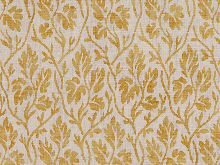 La Vigne Positive - Mustard