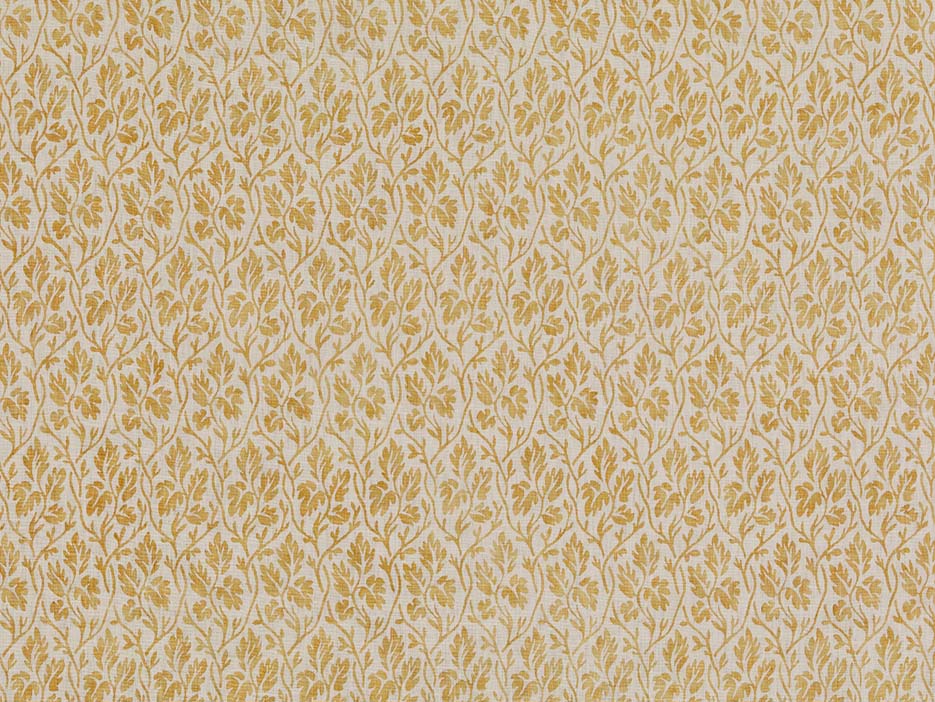 La Vigne Positive - Mustard