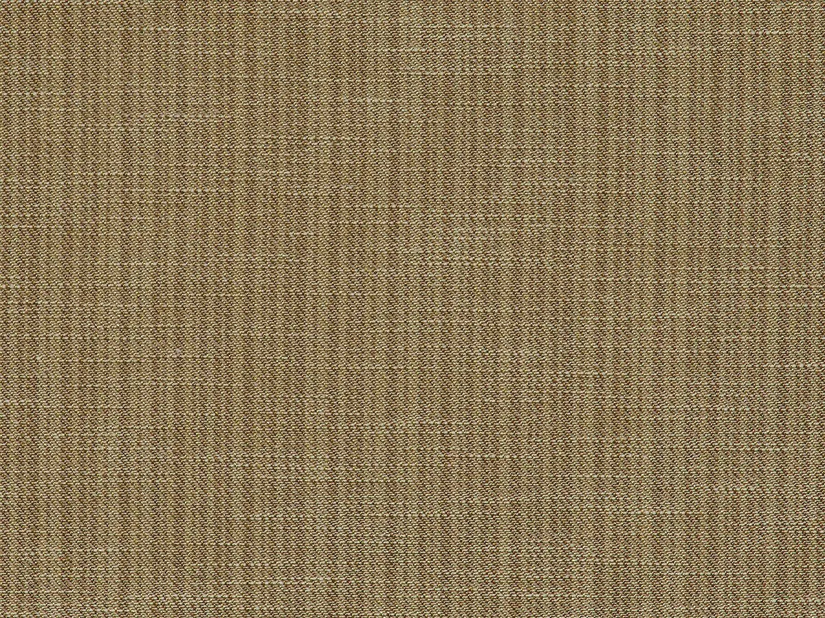 Lahariya - Olive
