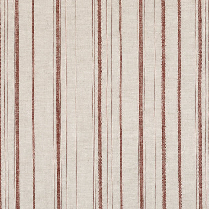 Carskiey Single Stripe - CARS-036