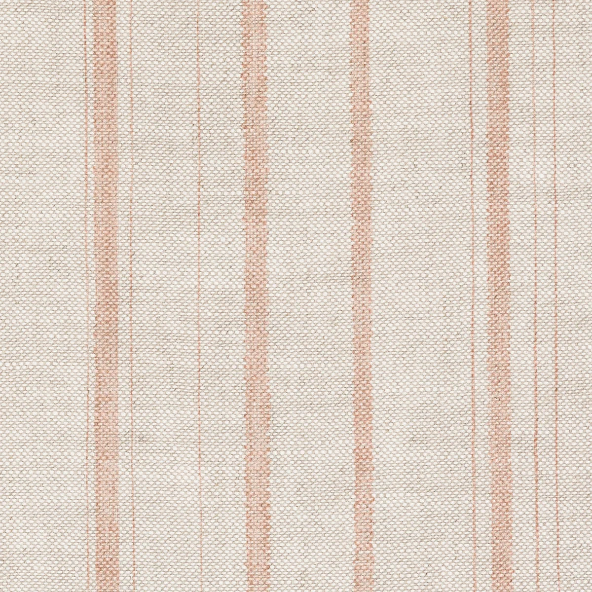 Carskiey Single Stripe - CARS-037