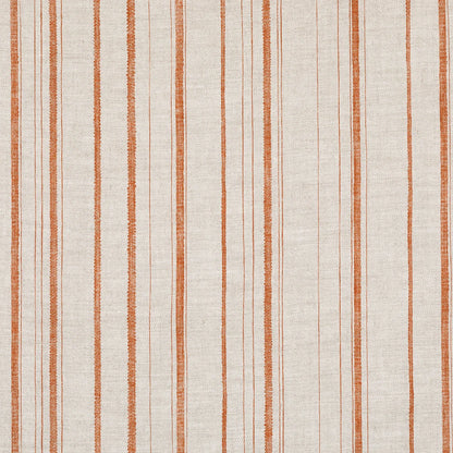 Carskiey Single Stripe - CARS-038