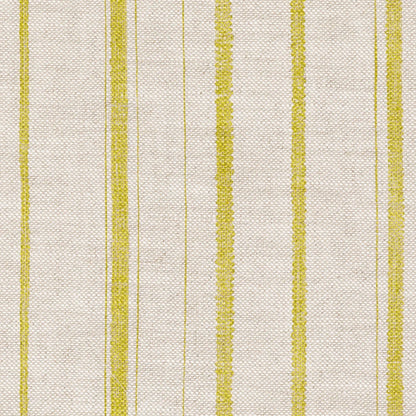 Carskiey Single Stripe - CARS-039