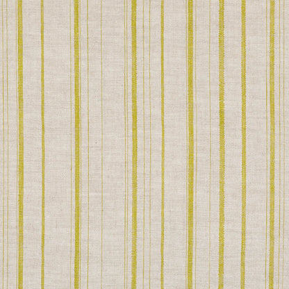 Carskiey Single Stripe - CARS-039