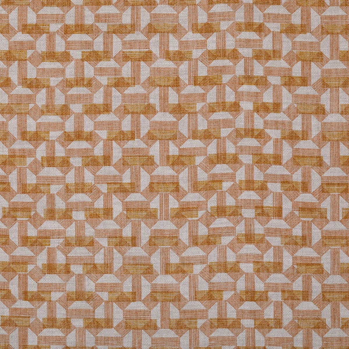 Salina - SALI-003