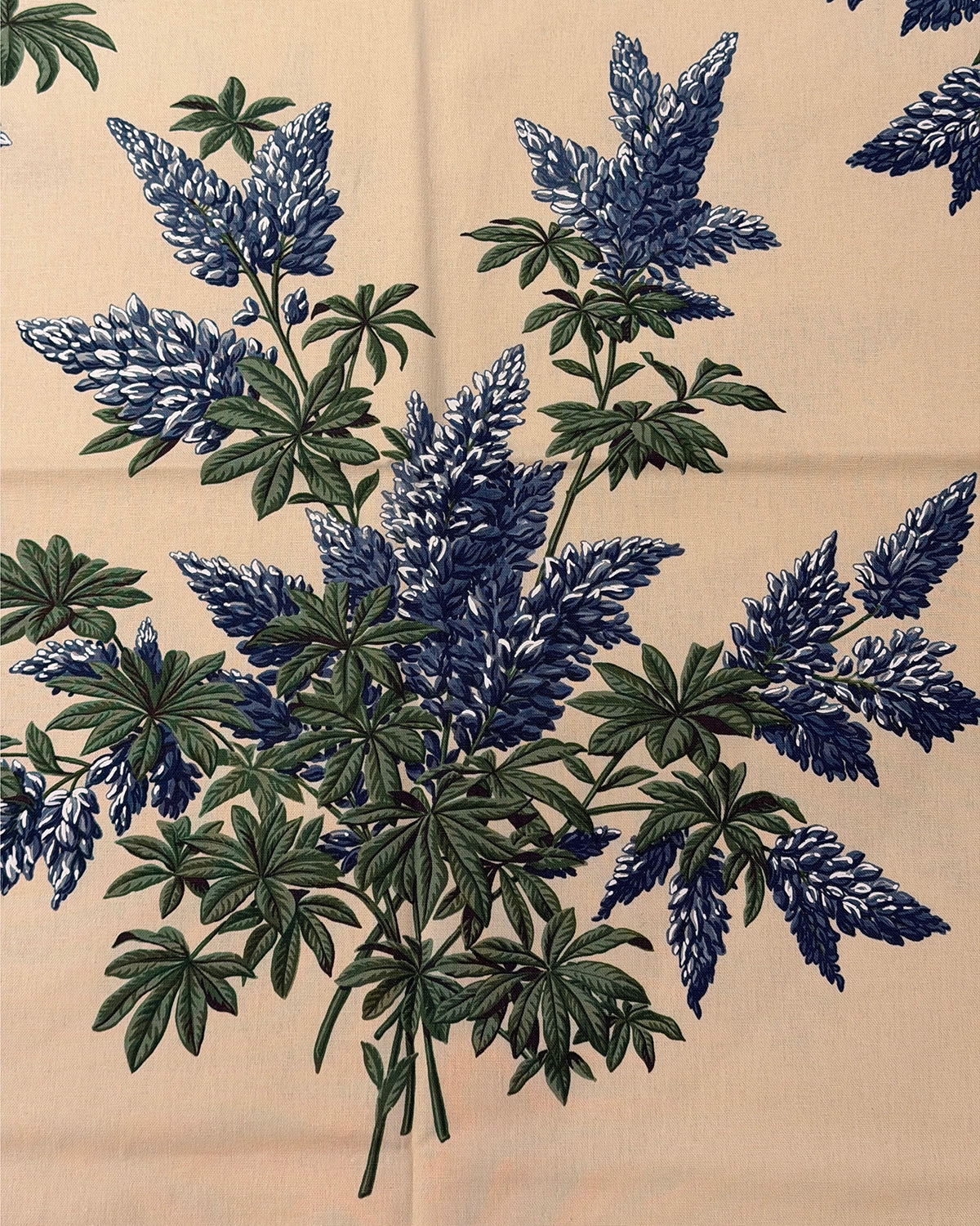Lupins - Blue