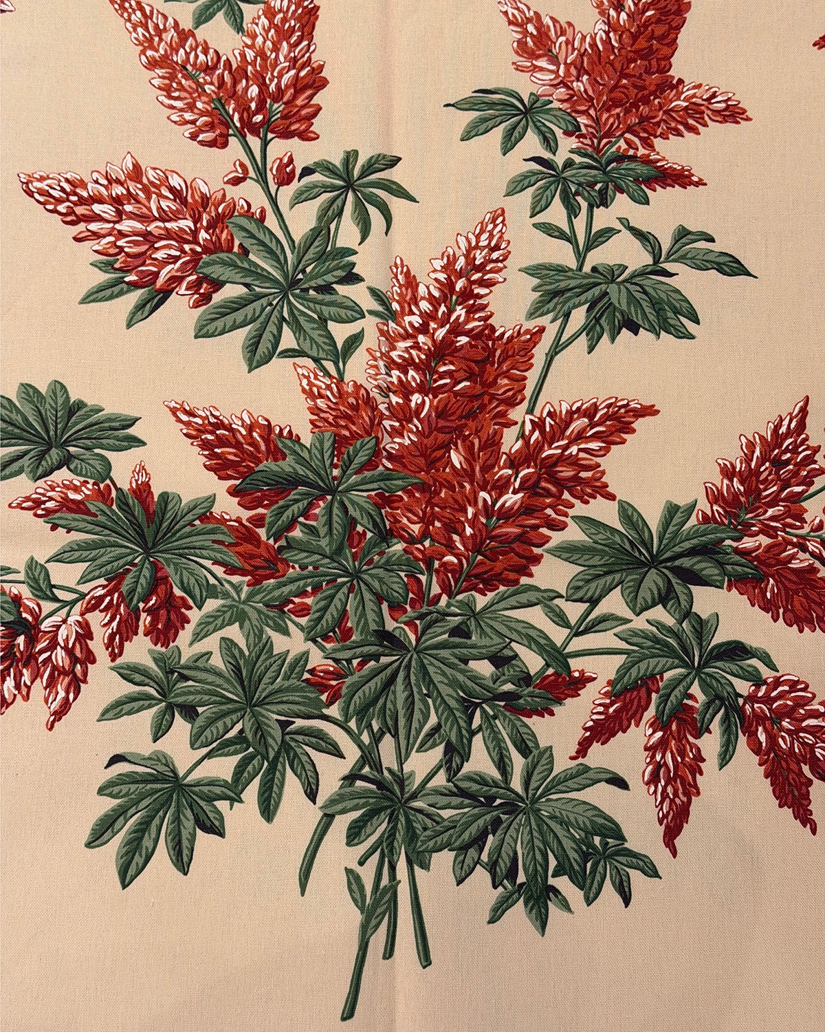 Lupins - Red