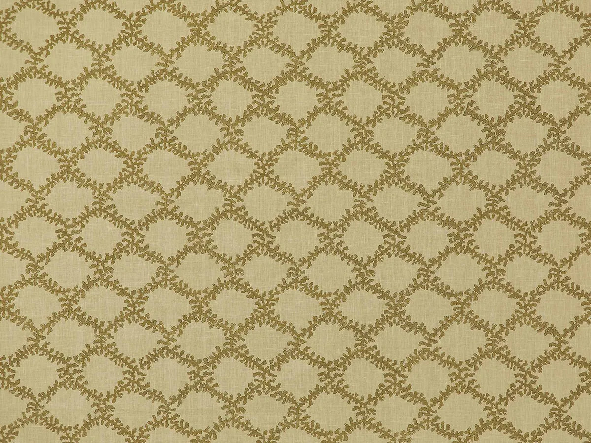 Moonga - Pale Olive