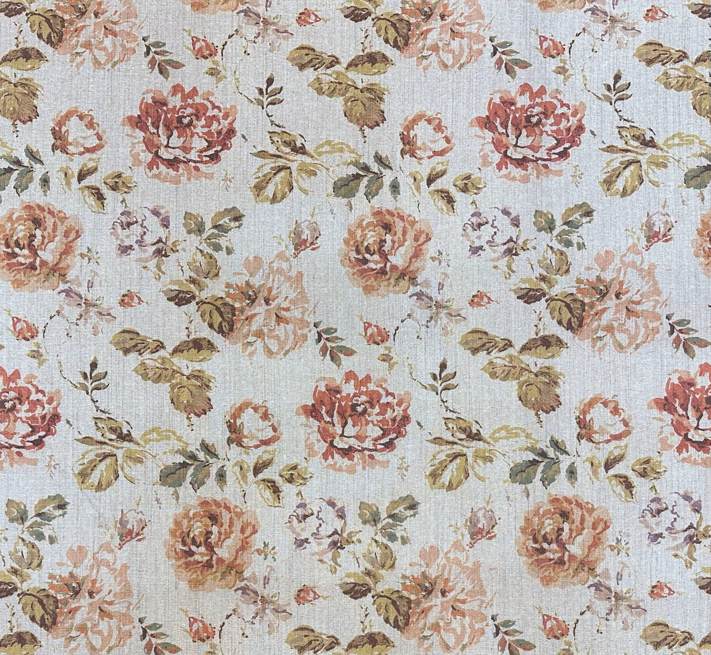 Mottisfont Silk - Floribunda