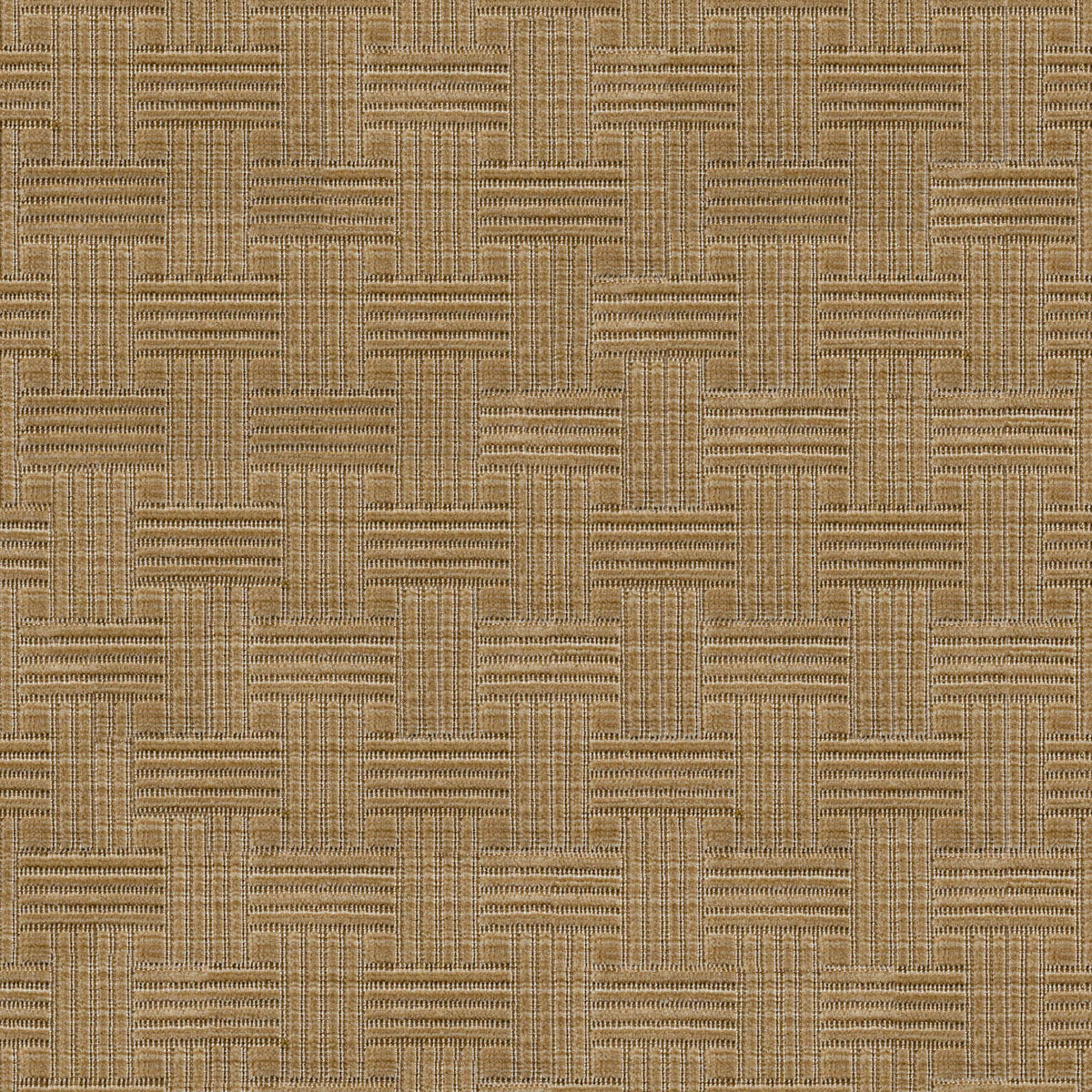 Nomad - Beige