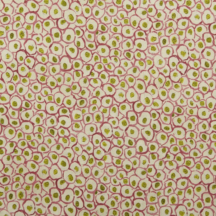 Olive 381 - 01 Coral