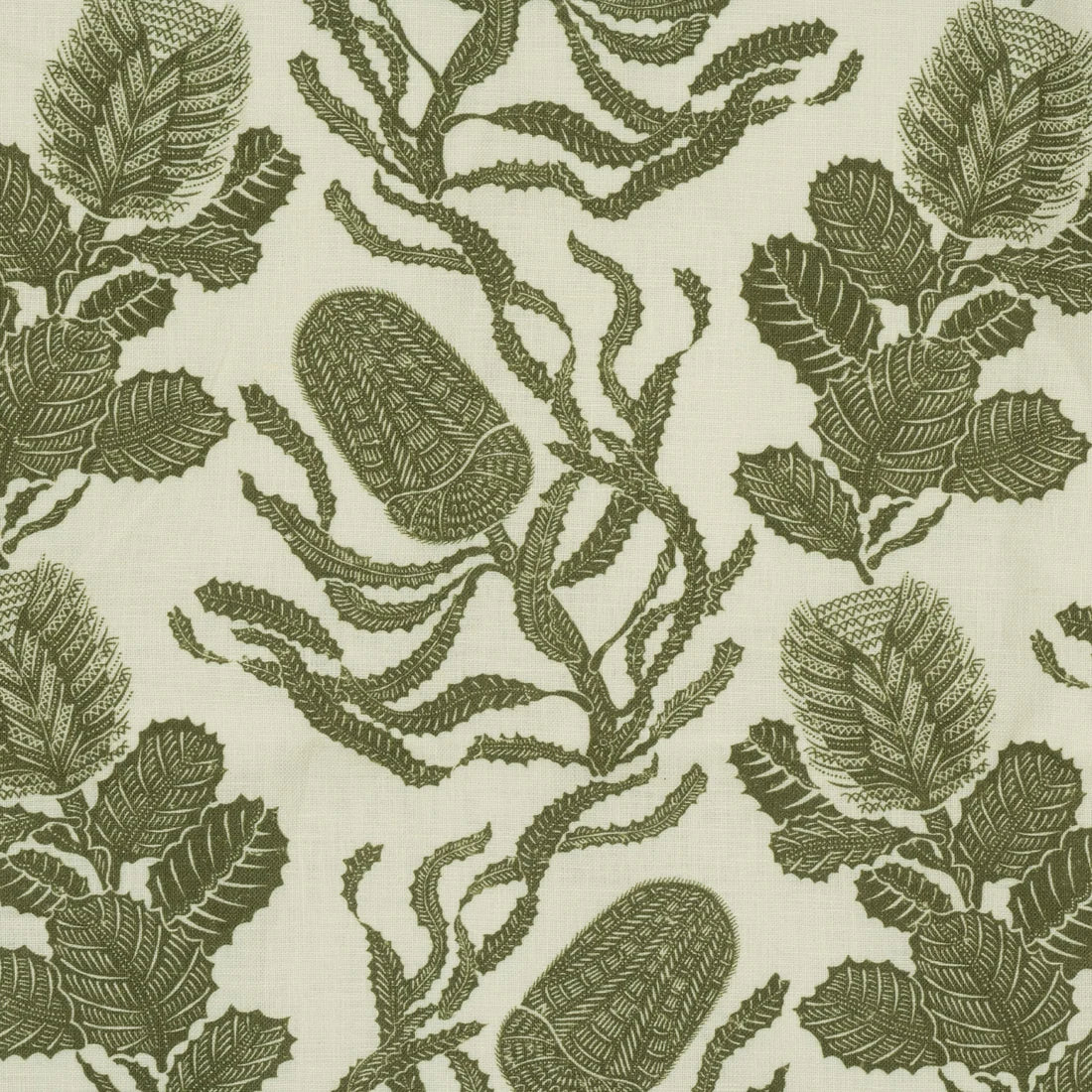 Cape Botanical - Botanical Green / Oyster