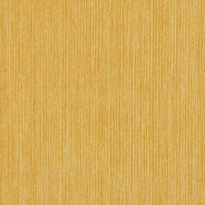 Strie Outdoor - 508 Yellow Brick Road